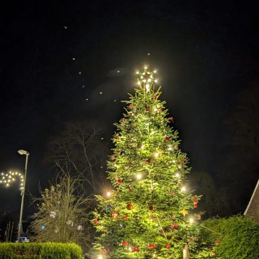 Einladung für Samstag, 29.11., zum Schmücken des Weihnachtsbaums