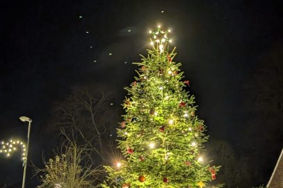 Der geschmückte Baum