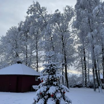 Winter-Wunderland in Buttforde